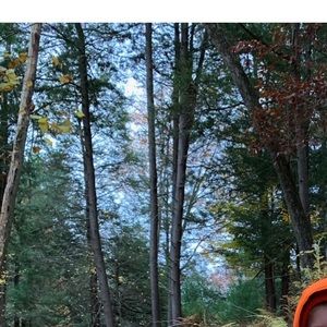 Meet your Posher, Hunter